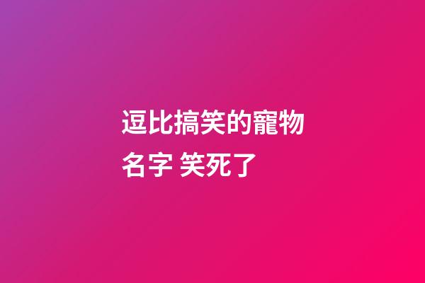逗比搞笑的寵物名字 笑死了